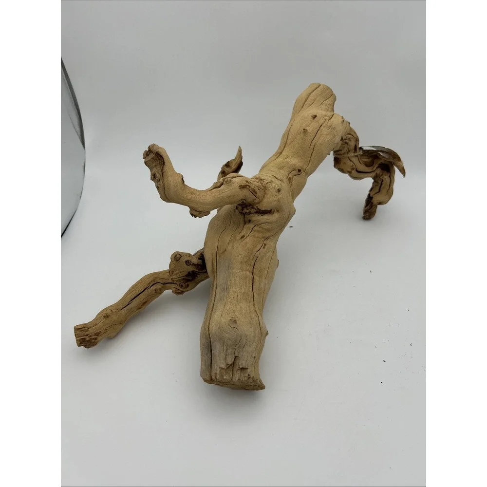 Nature Scapes Grapewood reptiles Or Airplants‎ 14x6 natural stump decor
